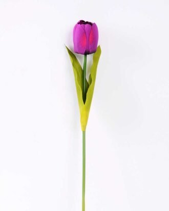 10*57cm Single tulip GS-3770009-Z1