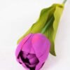 10*57cm Single tulip GS-3770009-Z1