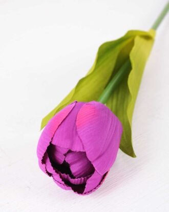 10*57cm Single tulip GS-3770009-Z1