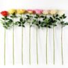 12*78CM  single rose GS-3790003