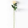 12*78CM  single rose GS-3790003