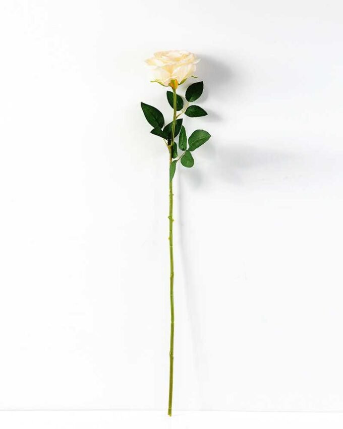 12*78CM  single rose GS-3790003