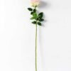 12*78CM  single rose GS-3790003