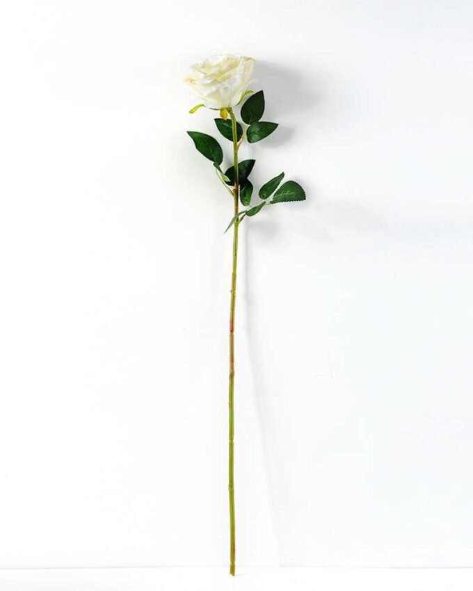 12*78CM  single rose GS-3790003
