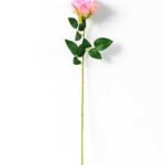 10*66CM single rose GS-3790004