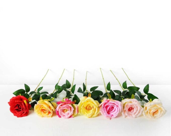 10*66CM single rose GS-3790004