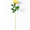 10*66CM single rose GS-3790004