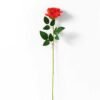 10*66CM single rose GS-3790004