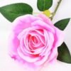 17*42CM SINGLE ROSE GS-3790011-P1