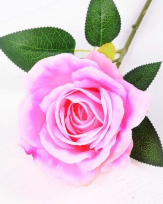 17*42CM SINGLE ROSE GS-3790011-P1