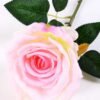 17*42CM SINGLE ROSE GS-3790011-P2