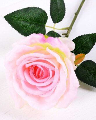 17*42CM SINGLE ROSE GS-3790011-P2
