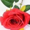 17*42CM SINGLE ROSE GS-3790011-R2