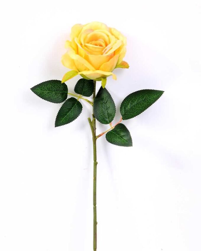 17*42CM SINGLE ROSE GS-3790011-Y1