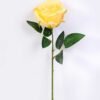 17*42CM SINGLE ROSE GS-3790011-Y2