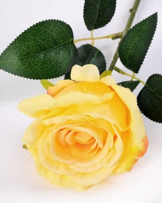 17*42CM SINGLE ROSE GS-3790011-Y2