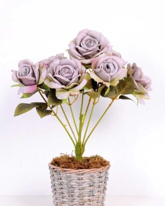 25*42CM ROSE BUSH*7(AUTUMN) GS-3800017-S1