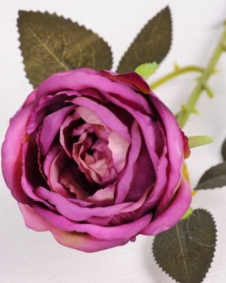 8*70CM SING ROSE(AUTUMN) GS-3800022-Z2