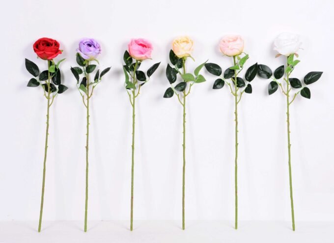 8*70CM SING ROSE(SPRING) GS-3800023-C1