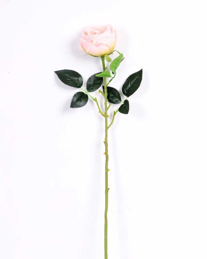 8*70CM SING ROSE(SPRING) GS-3800023-P1