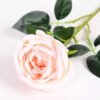 8*70CM SING ROSE(SPRING) GS-3800023-P1