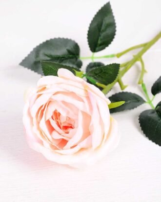 8*70CM SING ROSE(SPRING) GS-3800023-P1