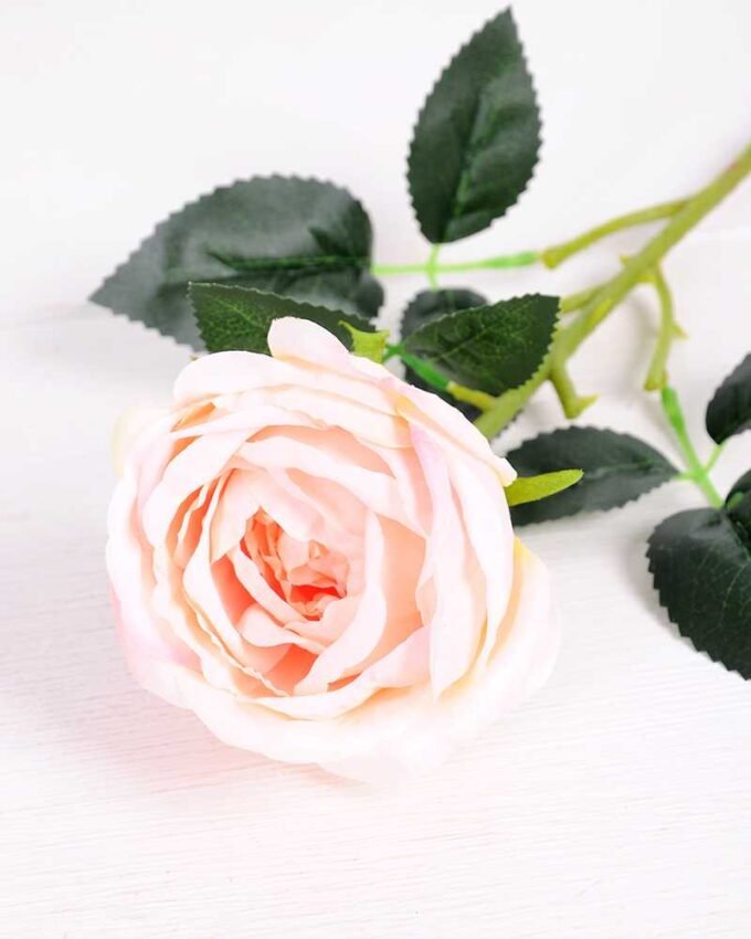 8*70CM SING ROSE(SPRING) GS-3800023-P1