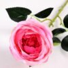 8*70CM SING ROSE(SPRING) GS-3800023-P2