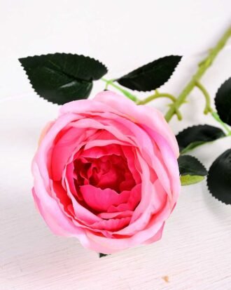 8*70CM SING ROSE(SPRING) GS-3800023-P2 Single Flowers YeahFlower is one of Chinese leading OEM manufacturers and exporters , supplying the silk flowers, wholesale artificial trees 8*70CM SING ROSE(SPRING) GS-3800023-P2