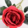 8*70CM SING ROSE(SPRING) GS-3800023-R1