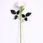 8*70CM SING ROSE(SPRING) GS-3800023-W2
