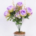 25*50CM ROSE BUSH*12(SPRING) GS-3800024-Z1