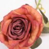 9*68CM SINGLE ROSE(AUTUMN) GS-3800026-S2 2 9*68CM SINGLE ROSE(AUTUMN) GS-3800026-S2