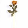 7*62CM SINGLE ROSE(AUTUMN) GS-3800027-G1