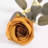 7*62CM SINGLE ROSE(AUTUMN) GS-3800027-G1