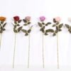 7*62CM SINGLE ROSE(AUTUMN) GS-3800027-G1