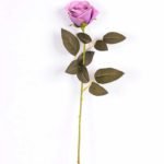 7*62CM SINGLE ROSE(AUTUMN) GS-3800027-Z1