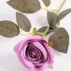 7*62CM SINGLE ROSE(AUTUMN) GS-3800027-Z1