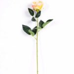 7*62CM SINGLE ROSE(SPRING) GS-3800028-C1