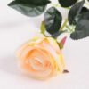 7*62CM SINGLE ROSE(SPRING) GS-3800028-C1