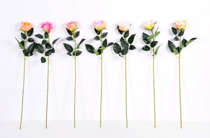 7*62CM SINGLE ROSE(SPRING) GS-3800028-C1