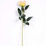 7*62CM SINGLE ROSE(SPRING) GS-3800028-P1