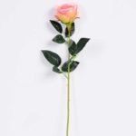 7*62CM SINGLE ROSE(SPRING) GS-3800028-P2