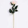 7*62CM SINGLE ROSE(SPRING) GS-3800028-W1