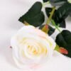 7*62CM SINGLE ROSE(SPRING) GS-3800028-W1