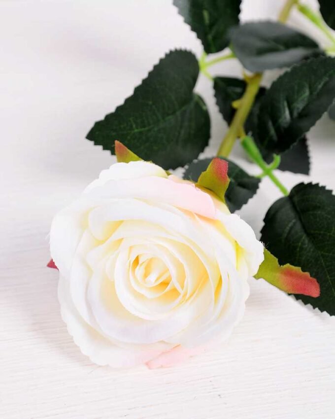 7*62CM SINGLE ROSE(SPRING) GS-3800028-W1