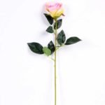 7*62CM SINGLE ROSE(SPRING) GS-3800028-Z1