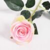 7*62CM SINGLE ROSE(SPRING) GS-3800028-Z1 2 7*62CM SINGLE ROSE(SPRING) GS-3800028-Z1