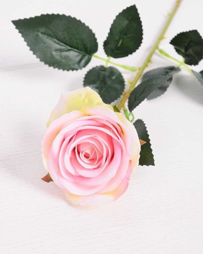 7*62CM SINGLE ROSE(SPRING) GS-3800028-Z1 2 7*62CM SINGLE ROSE(SPRING) GS-3800028-Z1