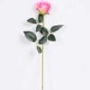 7*62CM SINGLE ROSE(SPRING) GS-3800028-Z2